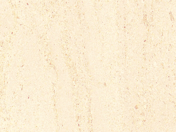 VIQ1788MT_A4_S