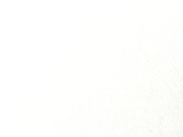 VMV18200_A4_S